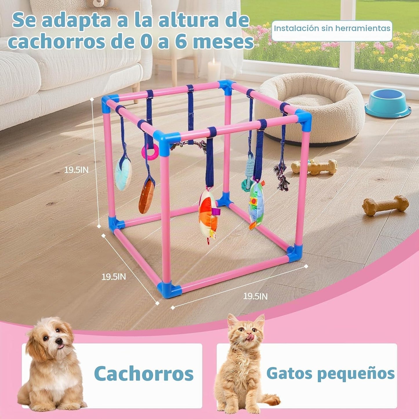 Liitrton Gimnasio de juego para cachorros \u2013 Gimnasio de juego...
