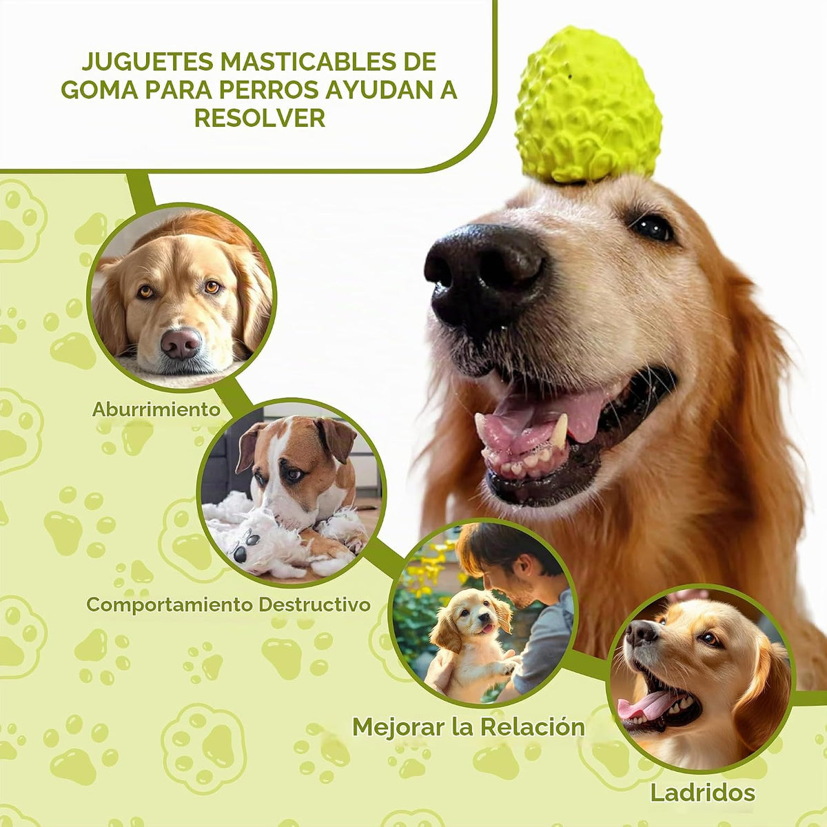 MewaJump Juguetes Chirriantes para Perros Masticadores Agresivos, J...