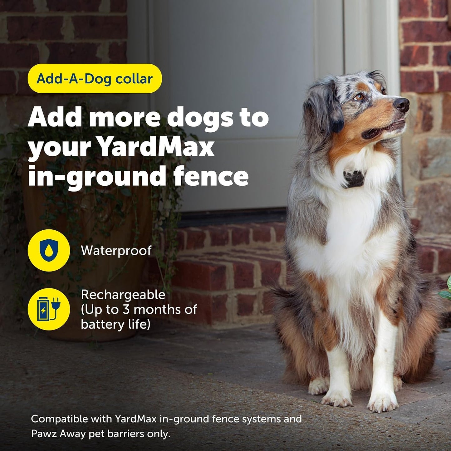 PetSafe YardMax - Collar de valla para perro, collar eléctrico impe...