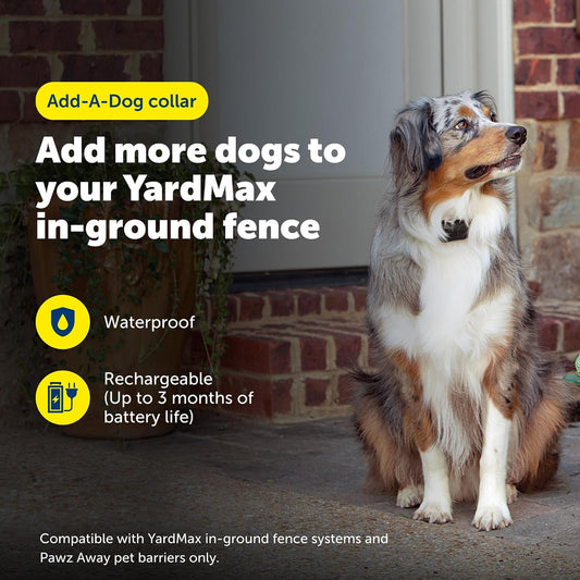PetSafe YardMax - Collar de valla para perro, collar eléctrico impe...