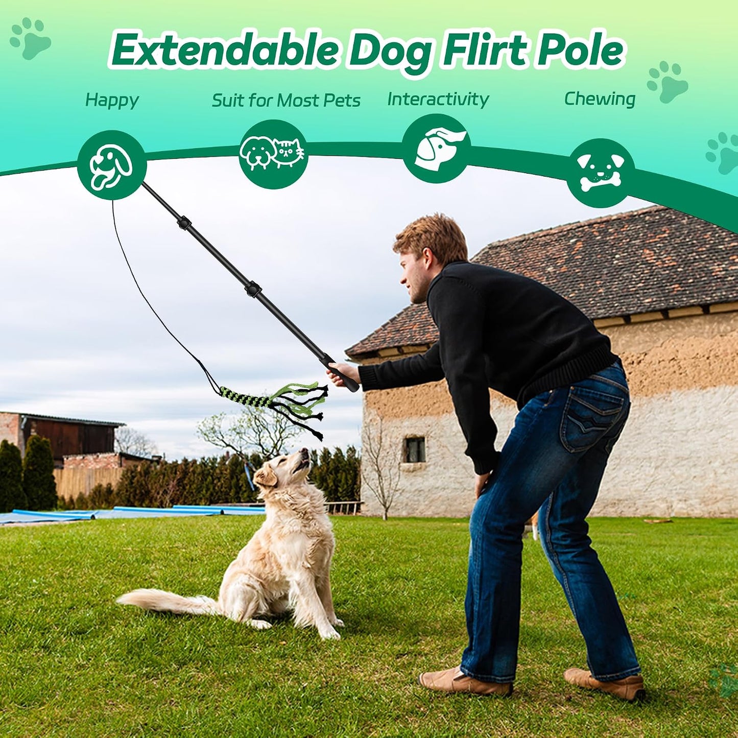 AmaCielo Poste de Flirteo para Perros, Juguetes Interactivos de Tir...