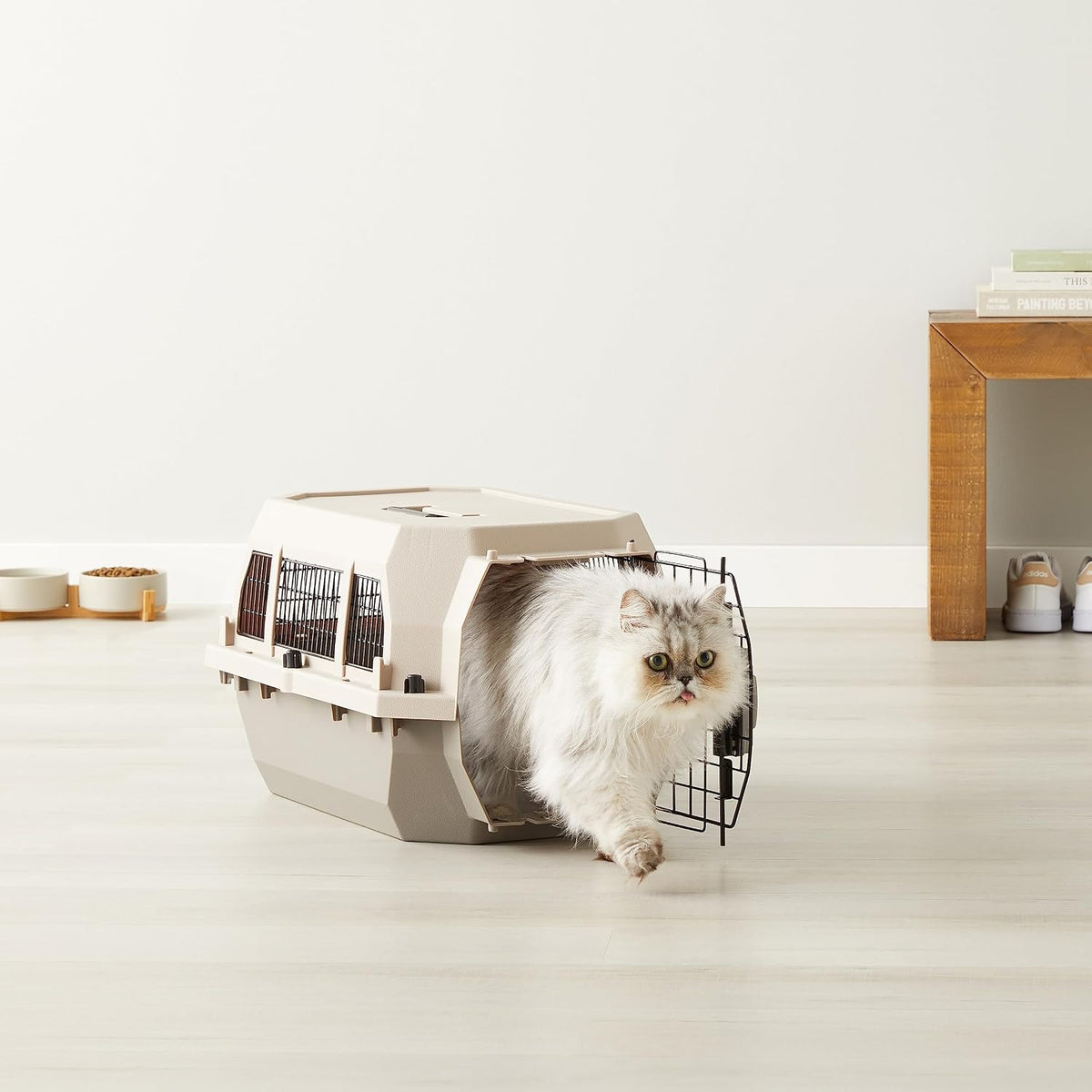 Amazon Basics - Transportador para mascotas con lados rígidos, jaul...