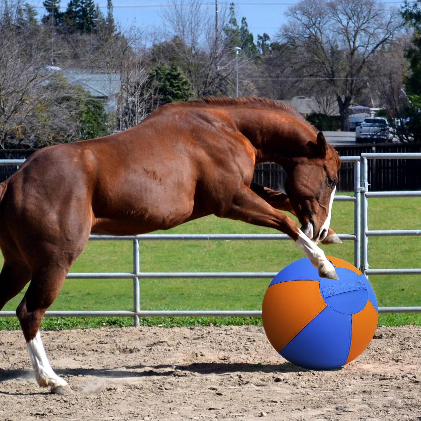 Pelota de pastoreo para perros y caballos, bola alegre de 18 pulgad...