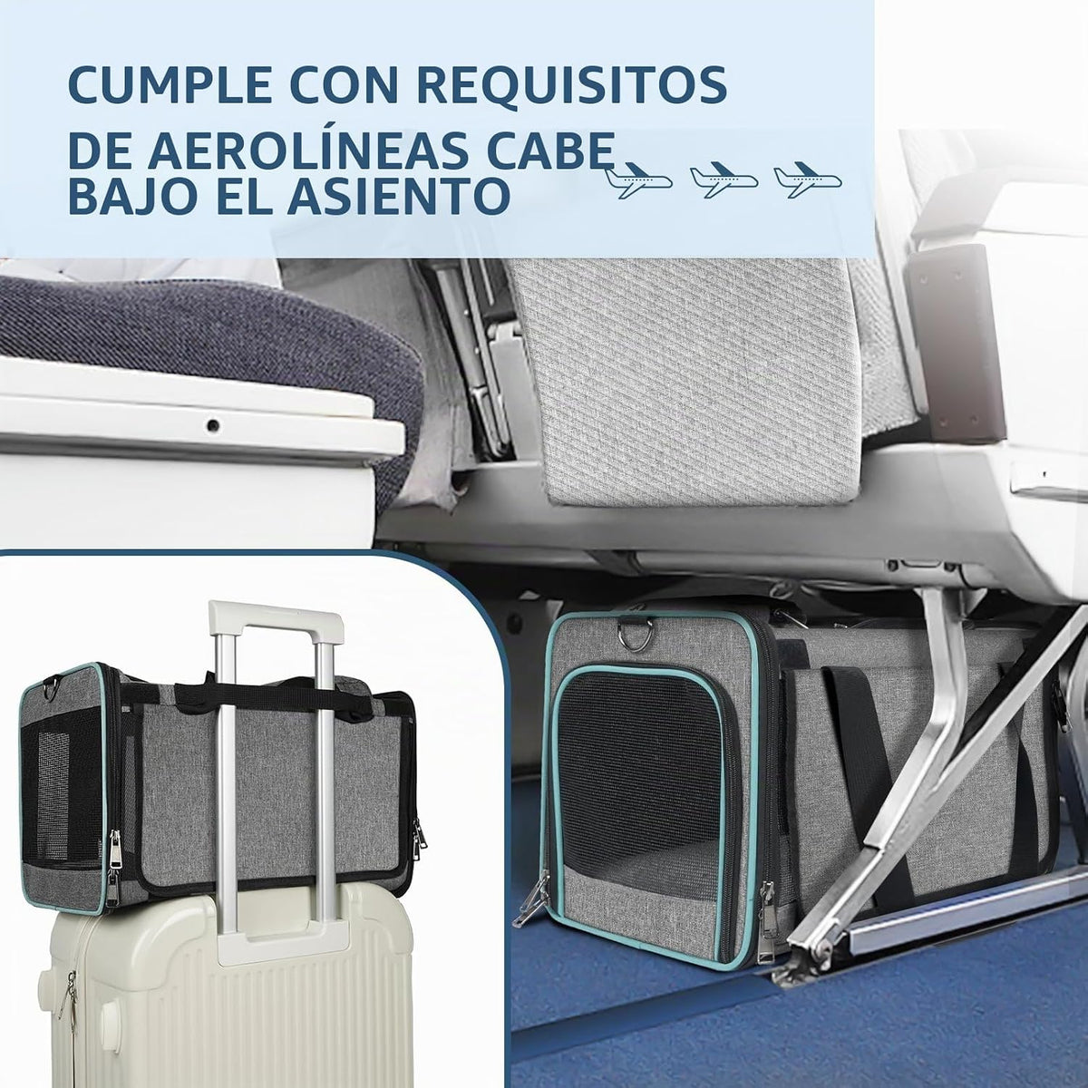 GAPZER Transportín para Gatos Aprobado por Aerolíneas American, Uni...