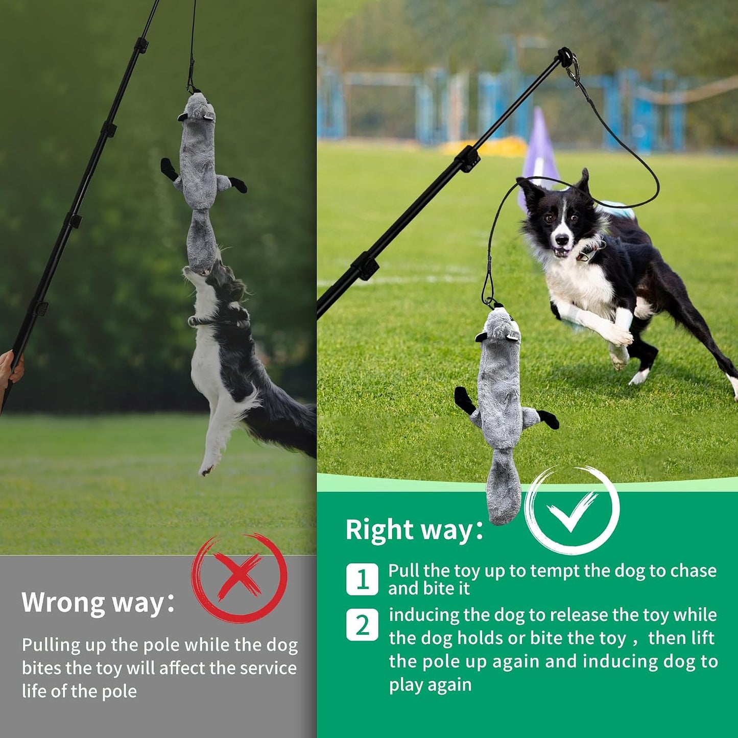 AmaCielo Palo de Flirt para Perros, Juguetes Interactivos de Tira y...