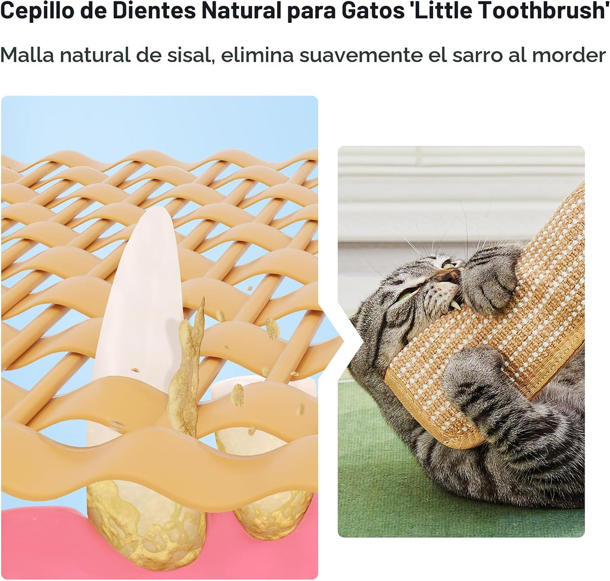 Potaroma Juguetes para gatos, paquete de 2 con 6000 mg A+ de hierba...