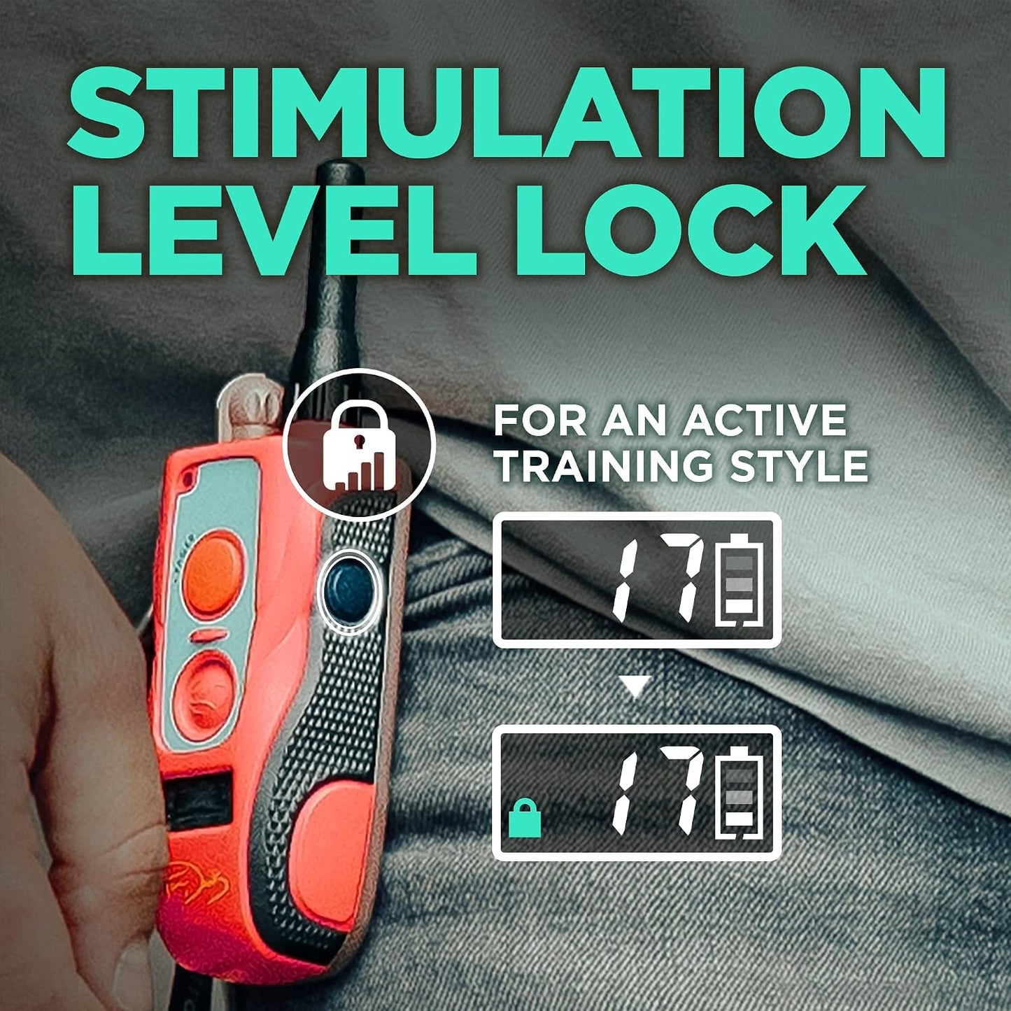 Dogtra E-Collar Tom Davis 280C Boost &amp; Lock, Collar de entrenam...
