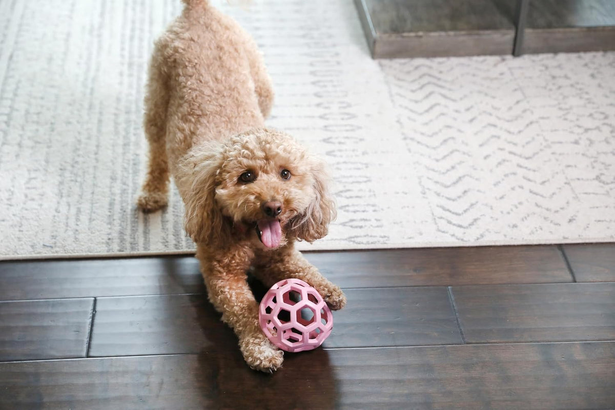 JW Pet HOL-ee Roller™, bola de rompecabezas de juguete para perros,...