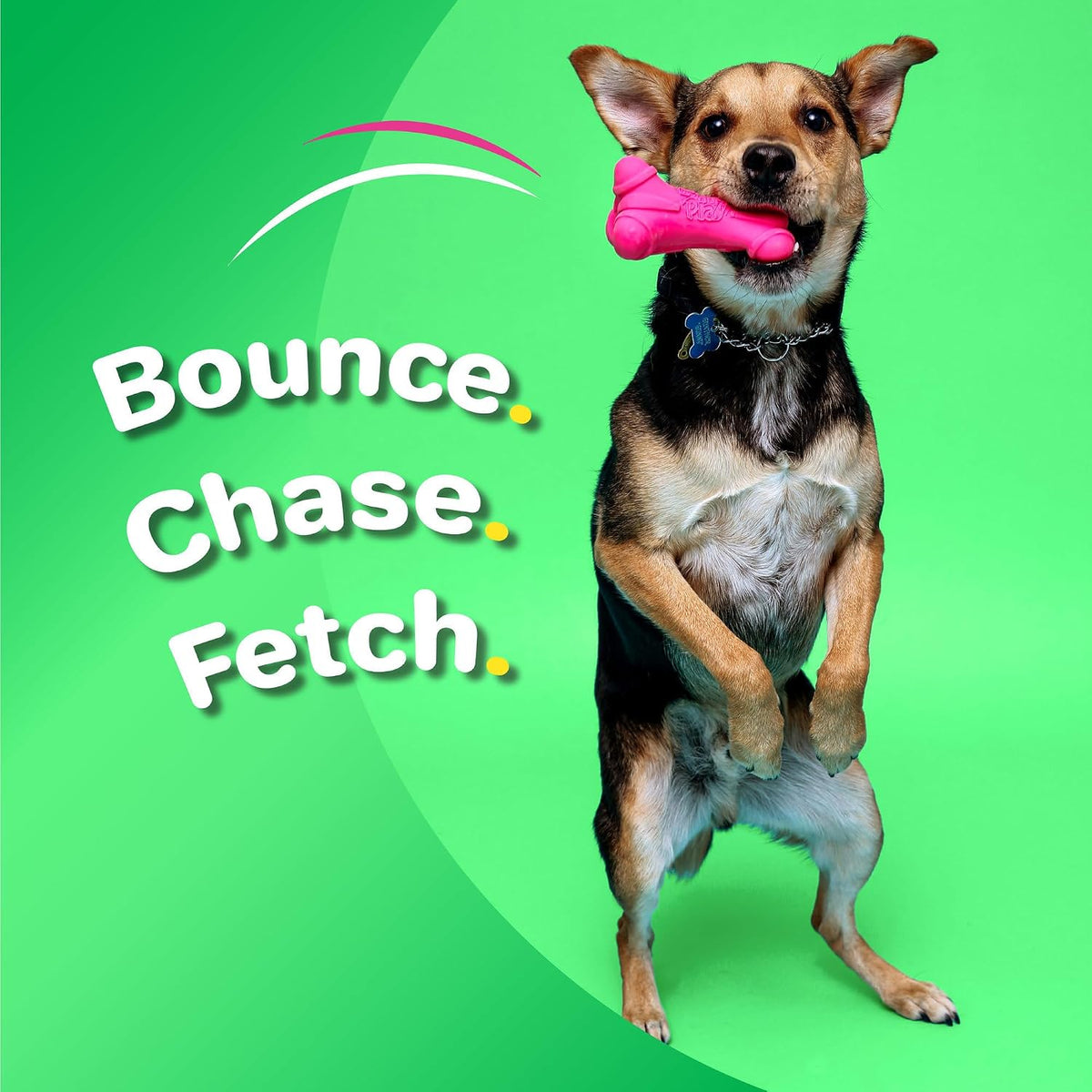 Hartz DuraPlay Hueso Juguete de Látex Chirriante para Perros de Raz...