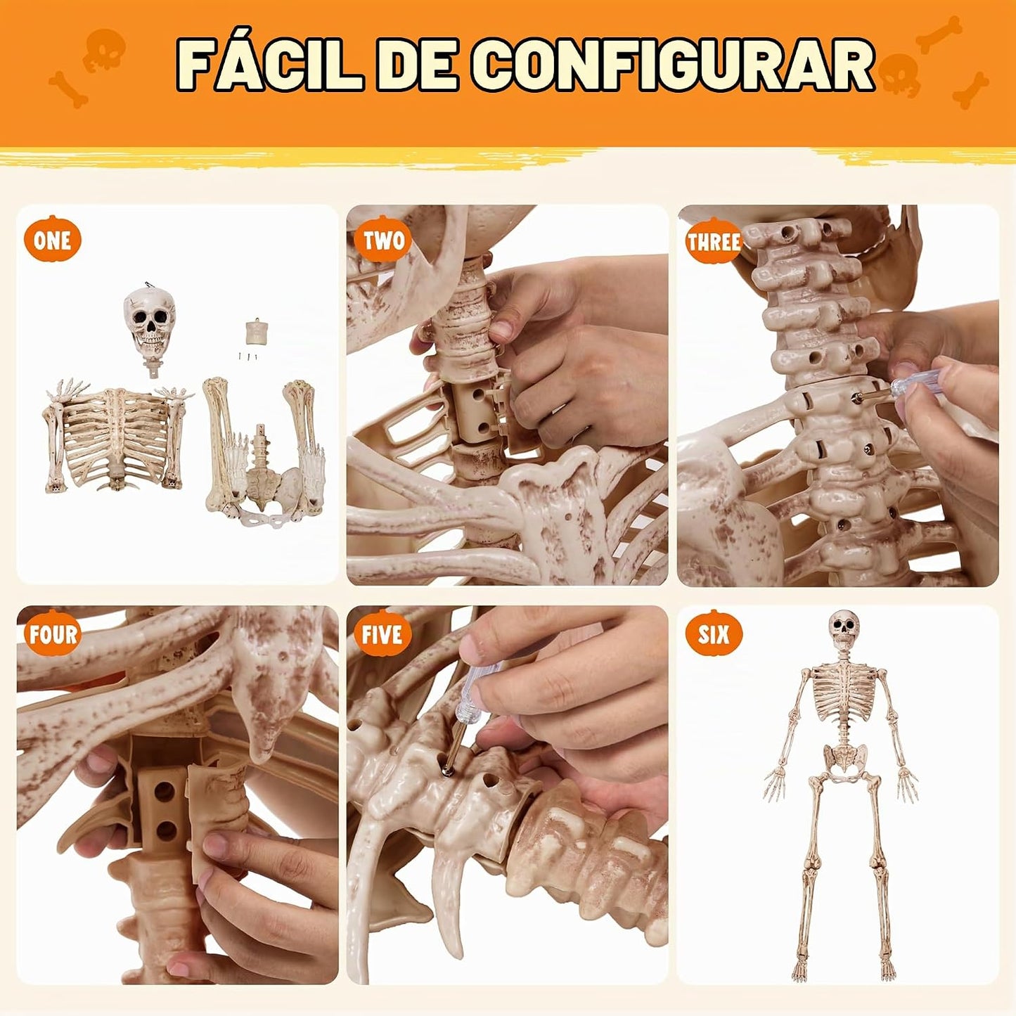 JOYIN - Esqueleto de Halloween de 1.7 m articulable, esqueleto de t...