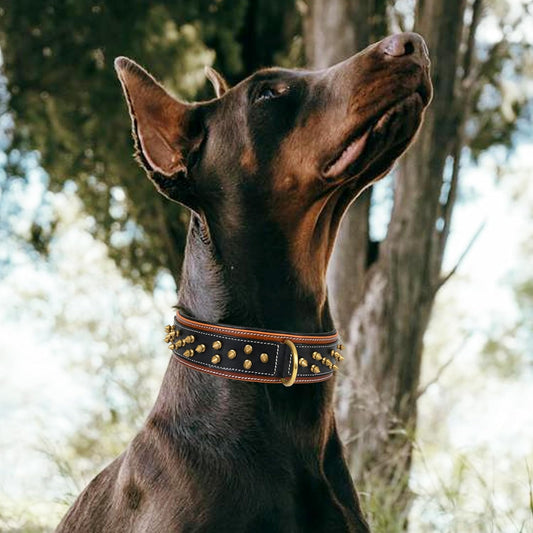 Leatherific - Collar de piel auténtica para perro, cuero bridle de...