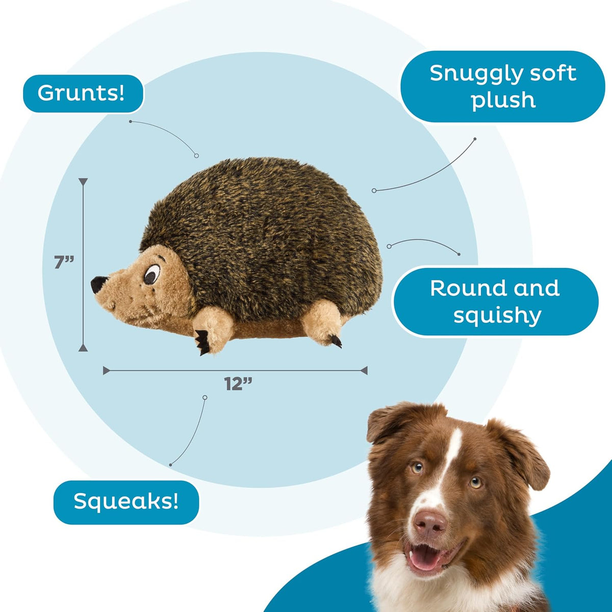 Outward Hound - Juguete de peluche Hedgehogz para perro, tamaño L |...