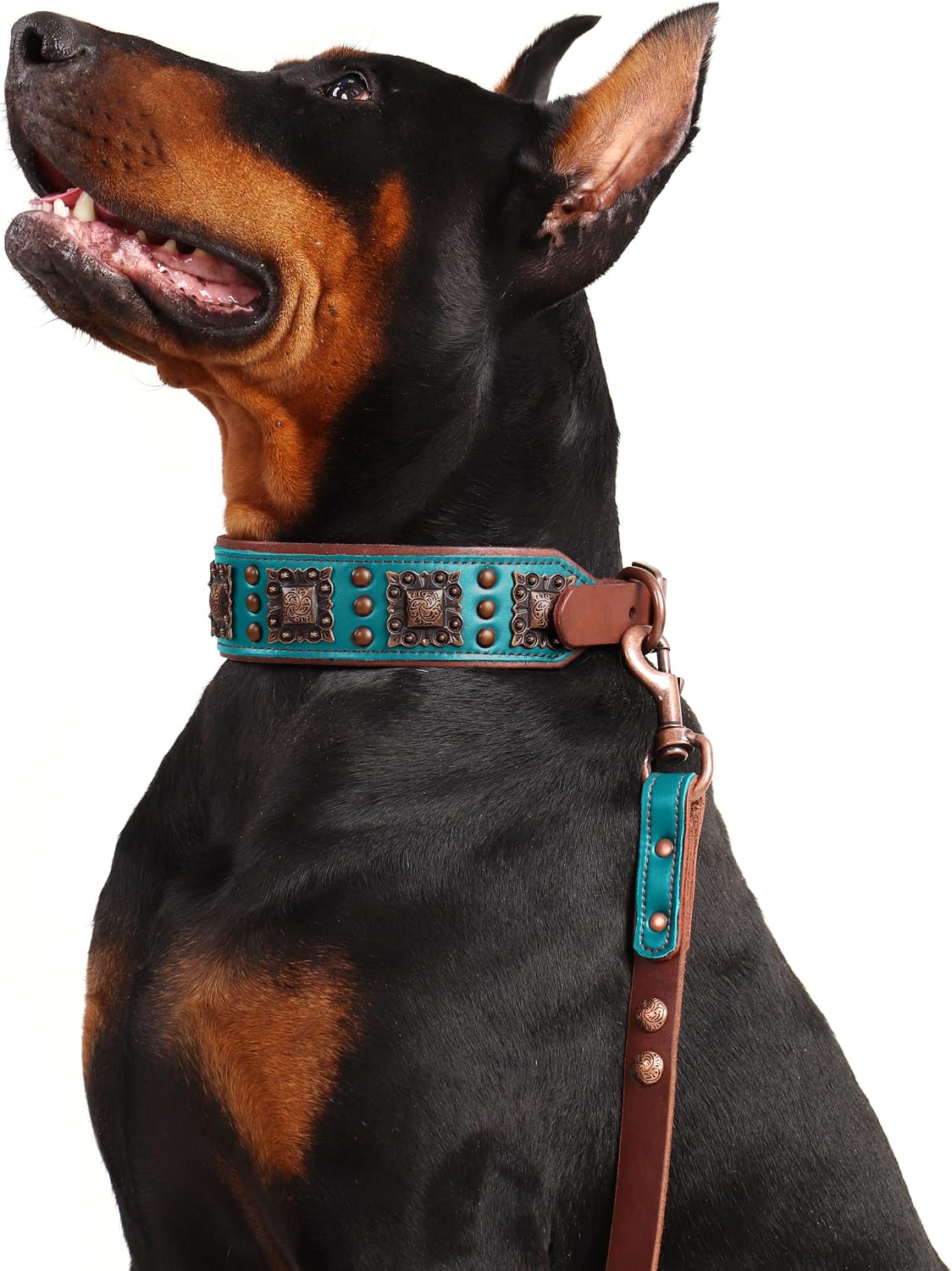 PET ARTIST Collar de perro de cuero acolchado mejorado, collares de...