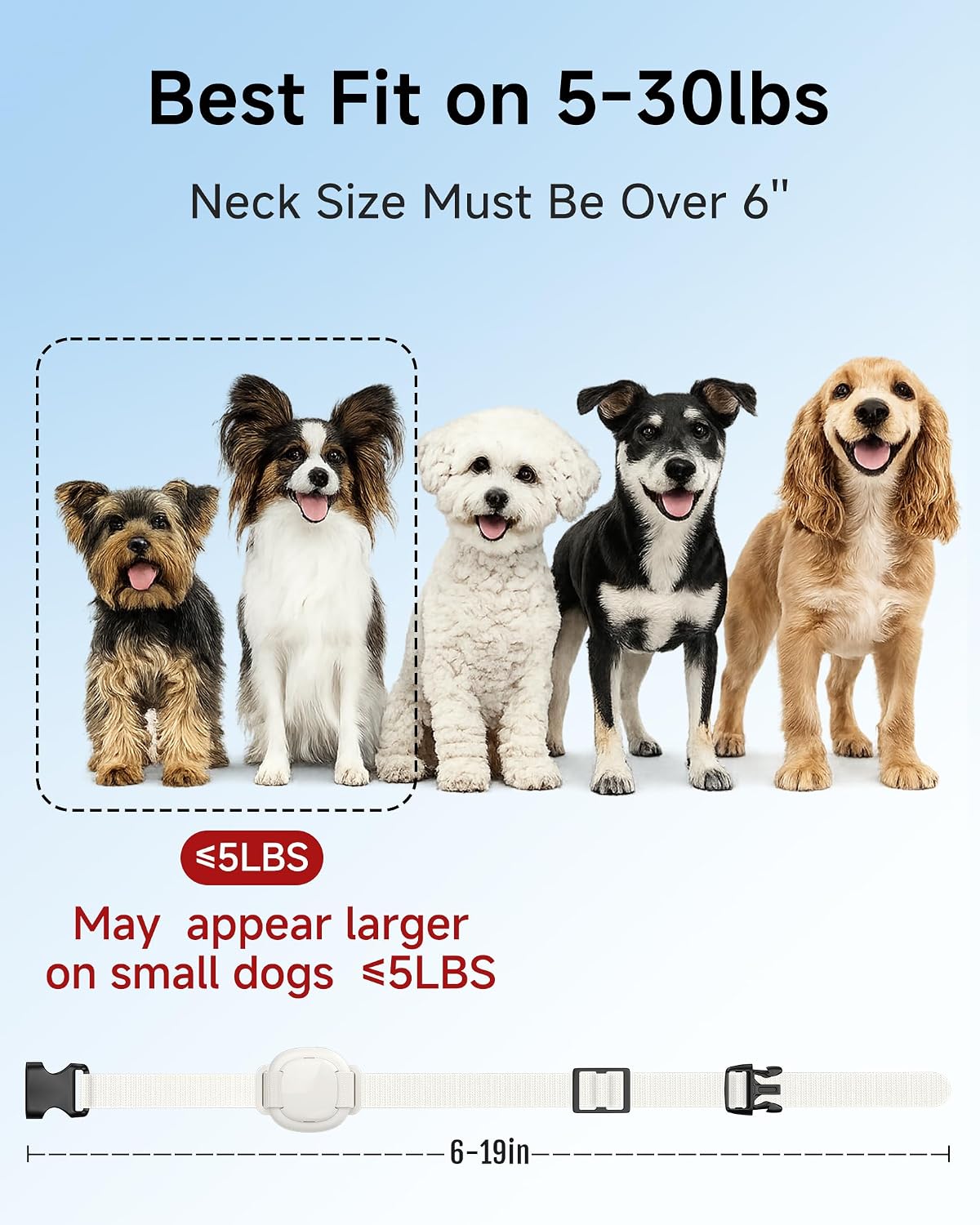 HapTop Collar de choque para perros pequeños de 5 a 30 libras - Col...