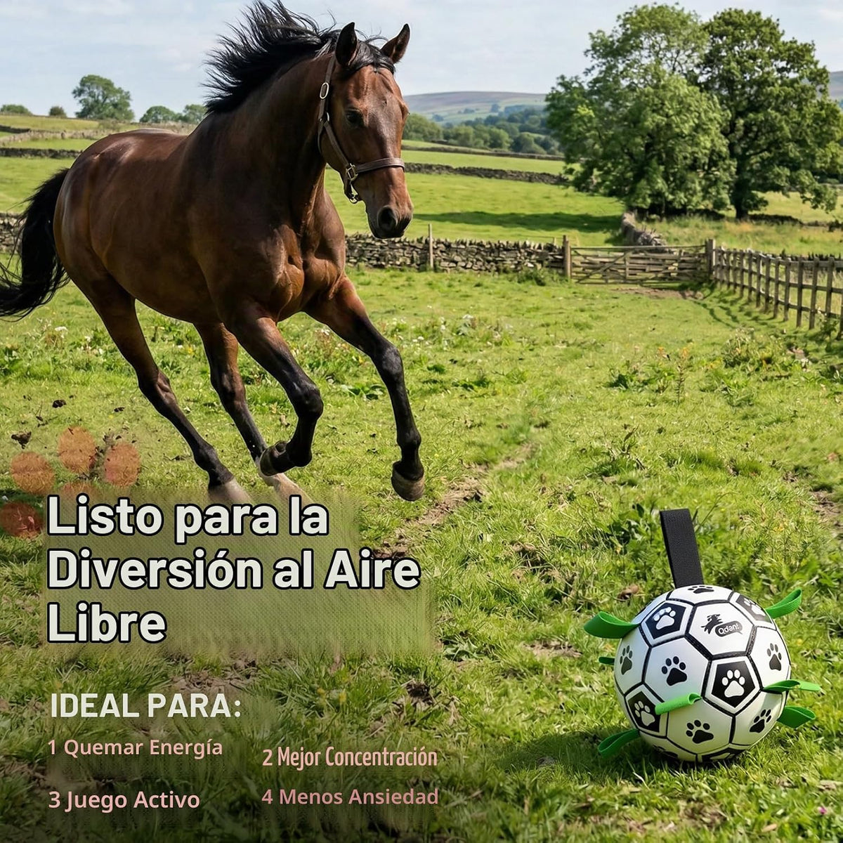 QDAN Balón de fútbol para perros Gaint de 10 pulgadas con correas,...