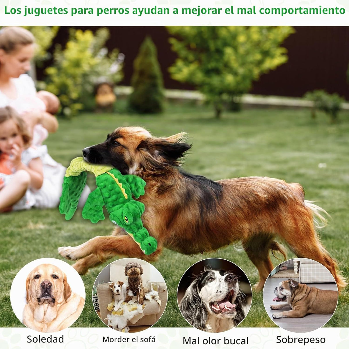 Letsmeet Juguetes Grandes de Cocodrilo Chirriante para Perros, Jugu...