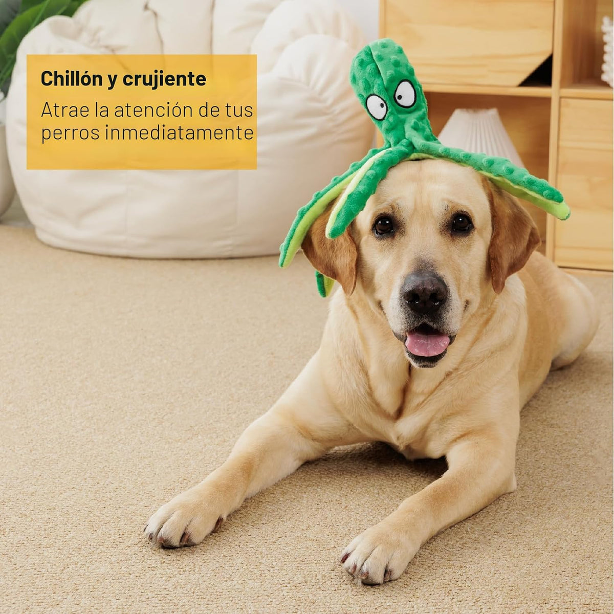 CPYOSN Paquete de 2 juguetes para perros de pulpo, sin relleno, chi...