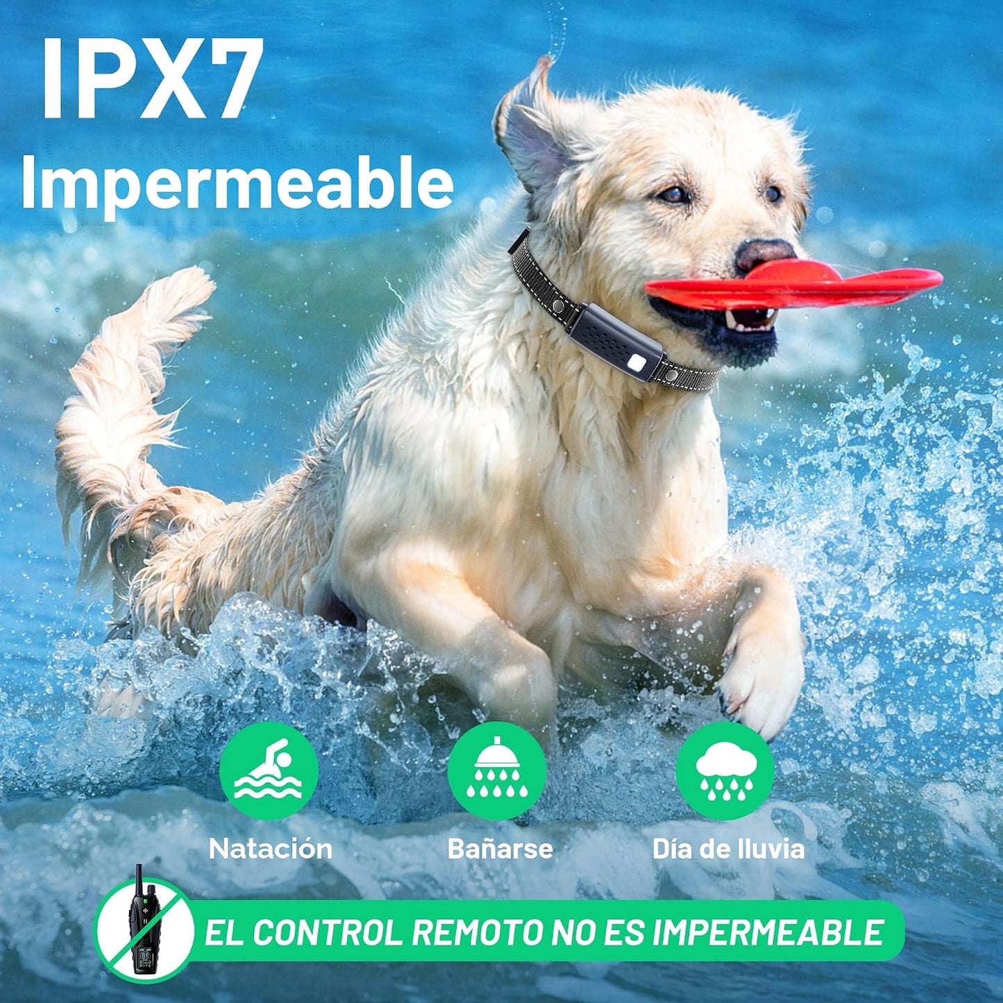 Collar de entrenamiento para perros \u2013 Collar de entrenamiento...