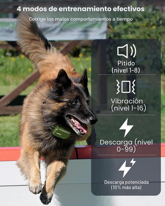 Collar de choque para 2 perros con control remoto, rango de 4200 pi...