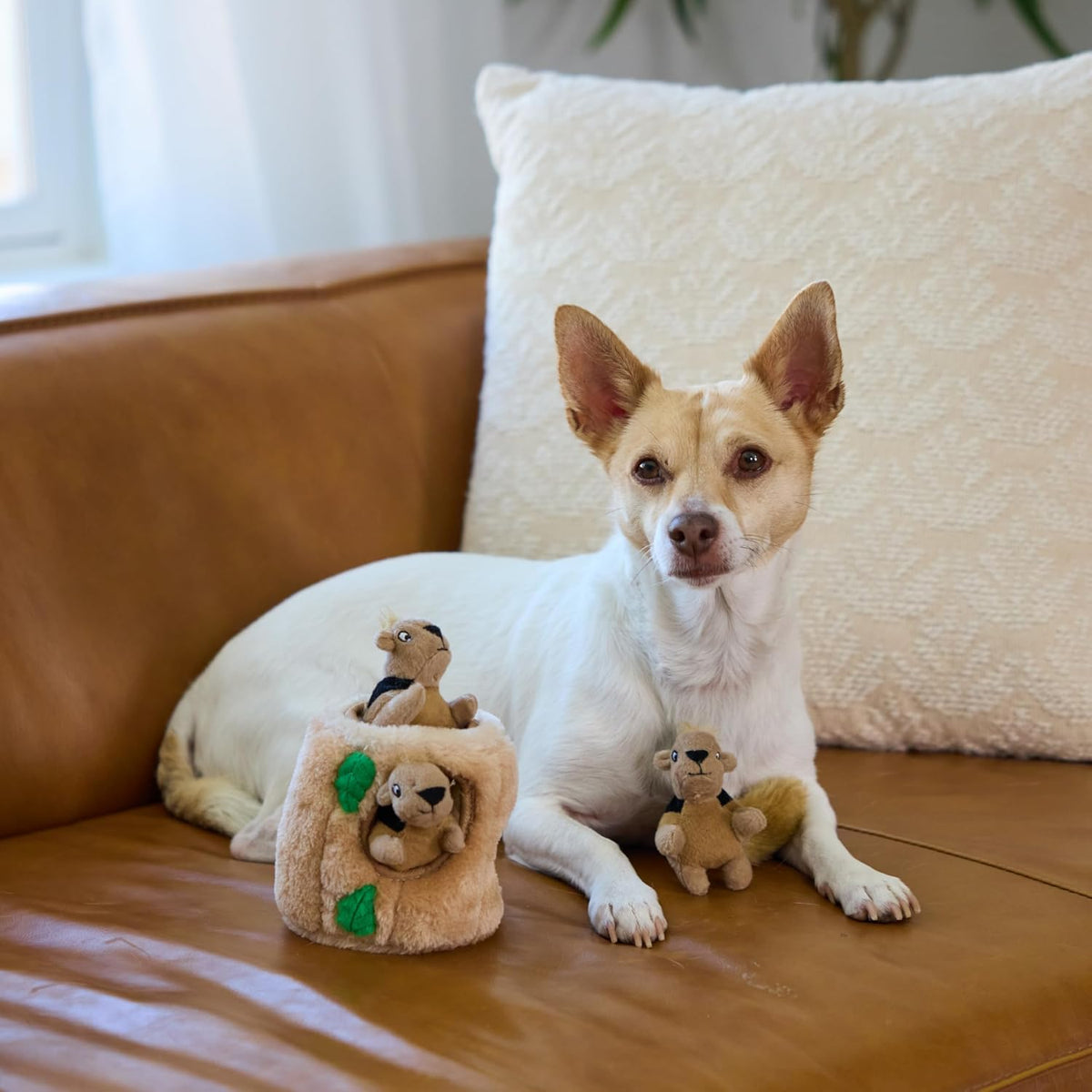 Outward Hound Hide A Squirrel - Rompecabezas de peluche para perro,...