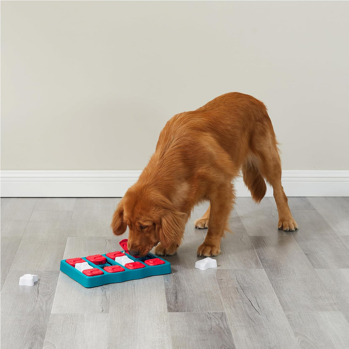 Nina Ottosson by Outward Hound Dog Brick - Juguete interactivo de r...
