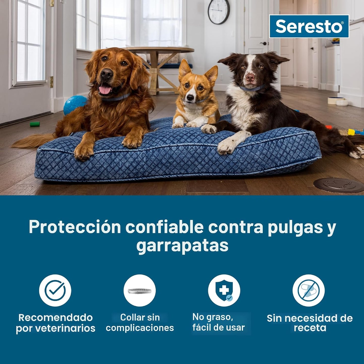Prevención y tratamiento de pulgas de gatos grandes Advantage XD pa...