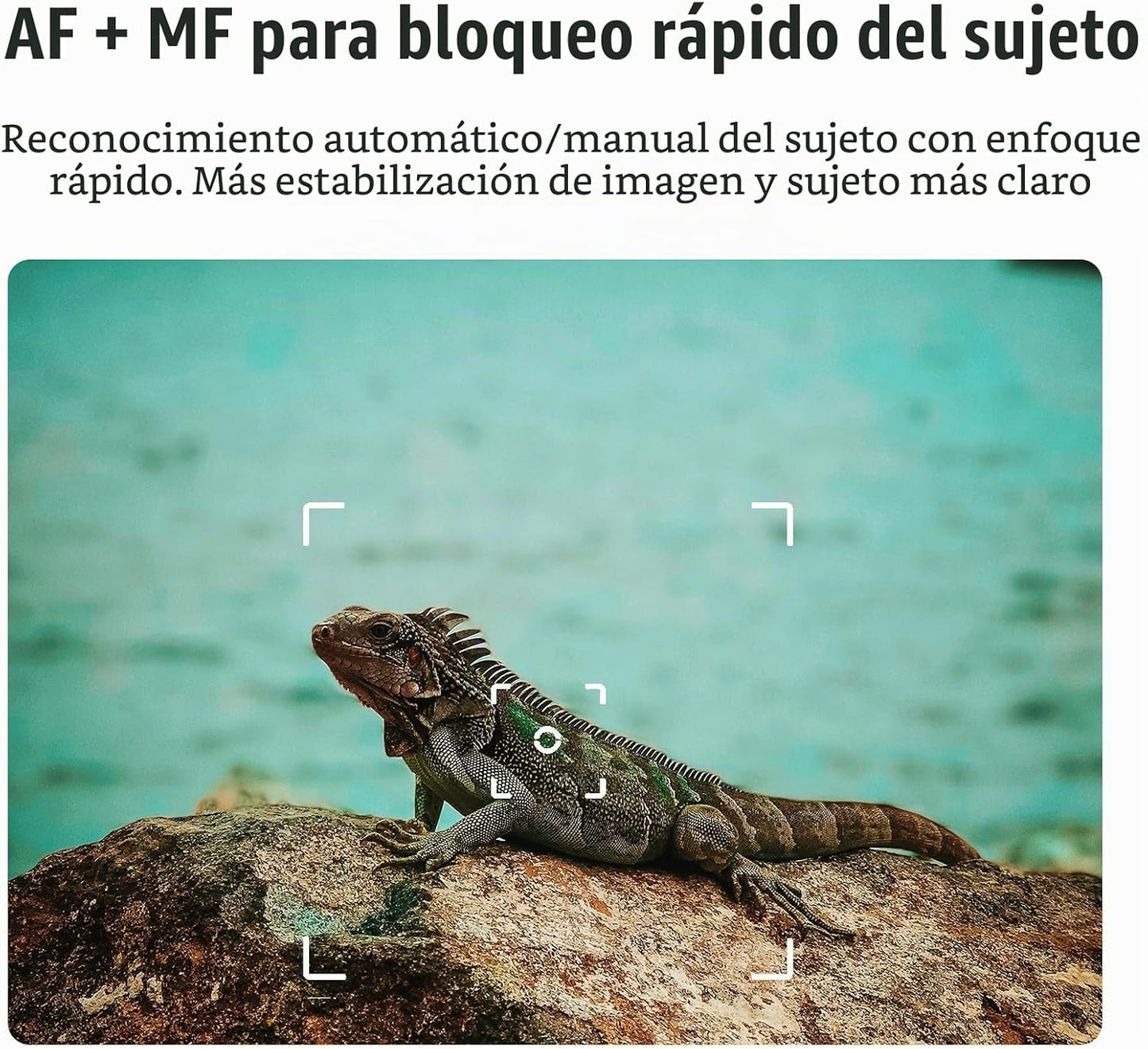 Cámara digital 4K para fotografía y video, cámara de zoom óptico 12...