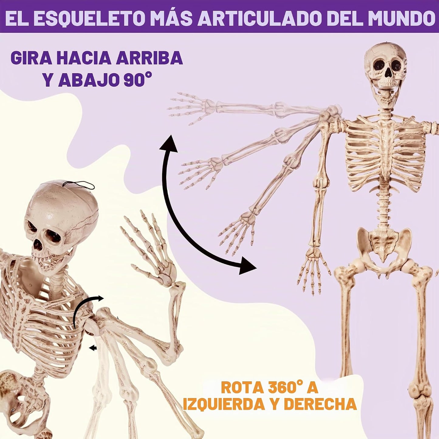JOYIN - Esqueleto de Halloween de 1.7 m articulable, esqueleto de t...