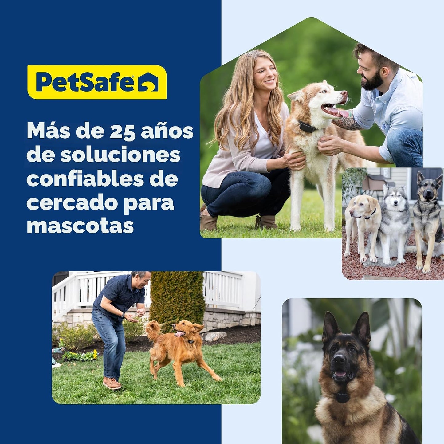 PetSafe Stay &amp; Play - Collar receptor de valla inalámbrica para...