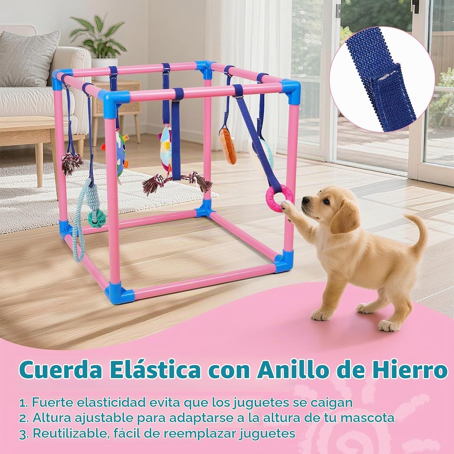 Liitrton Gimnasio de juego para cachorros \u2013 Gimnasio de juego...