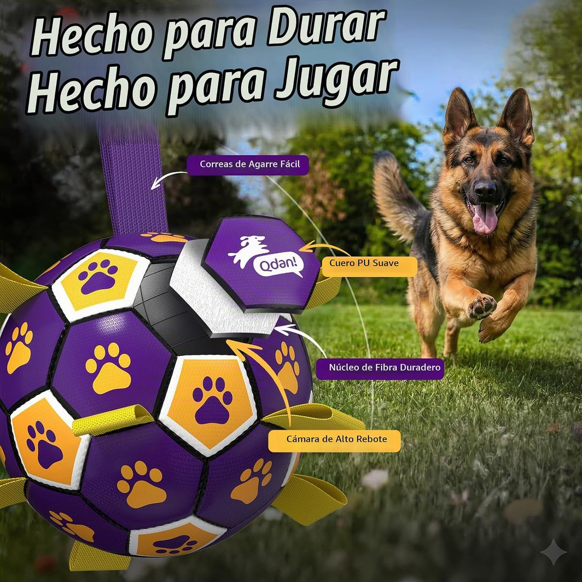 QDAN - Pelota de fútbol de juguete para perros, pelotas duraderas c...