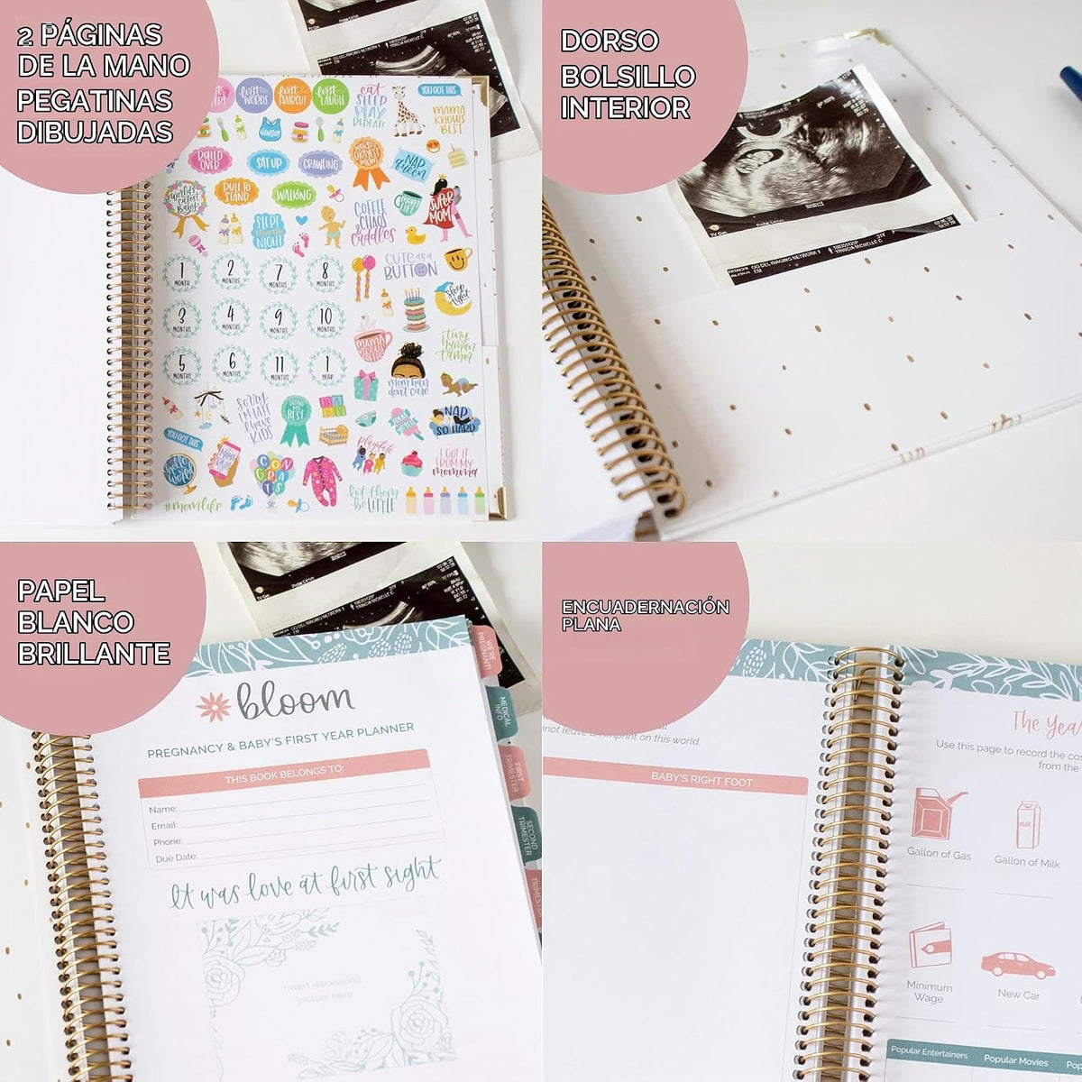 bloom daily planners Nuevo Calendario Planificador de Embarazo y Pr...