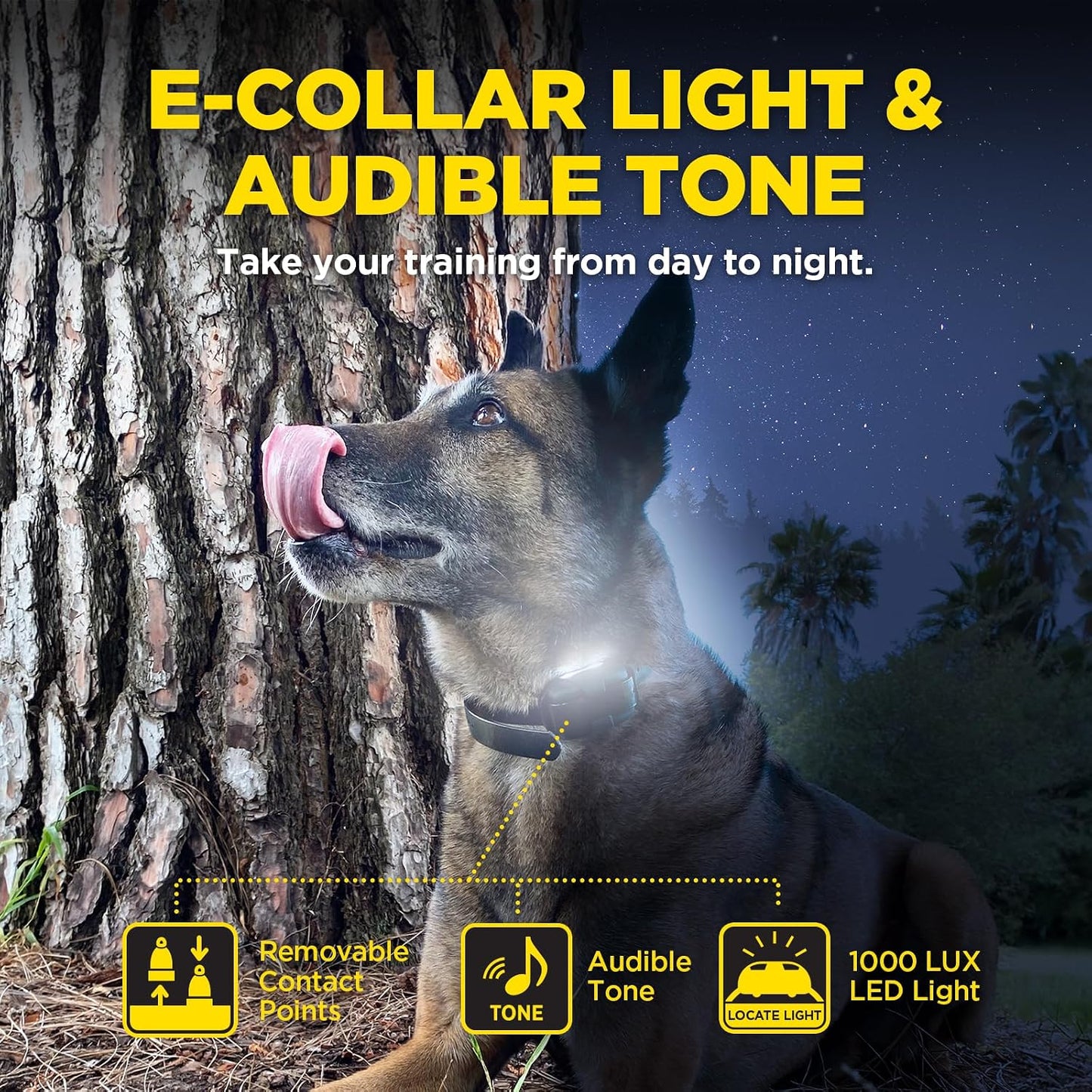 Dogtra 280X Collar E para 2 Perros con Control Remoto [Nueva Edició...