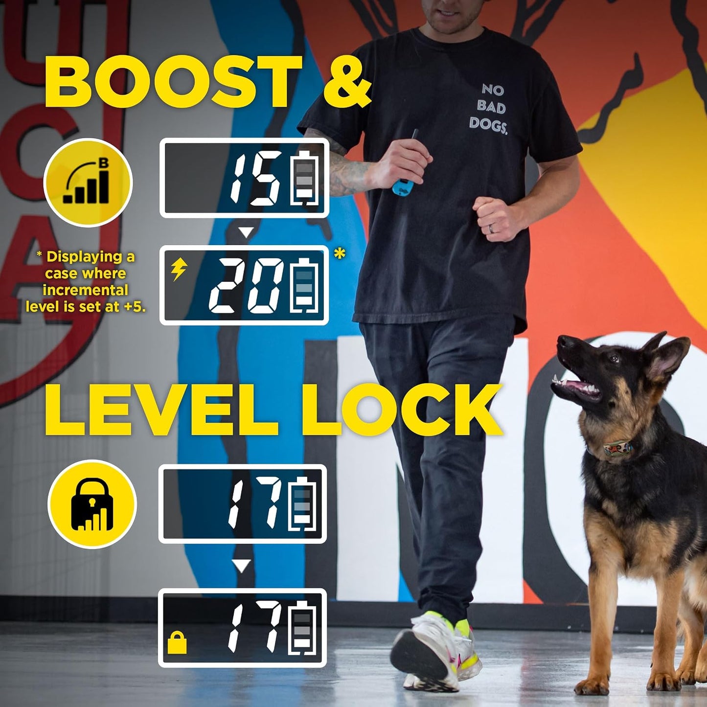 Dogtra E-Collar Tom Davis 280C 2.0 [Edición 2025], Boost &amp; Lock...