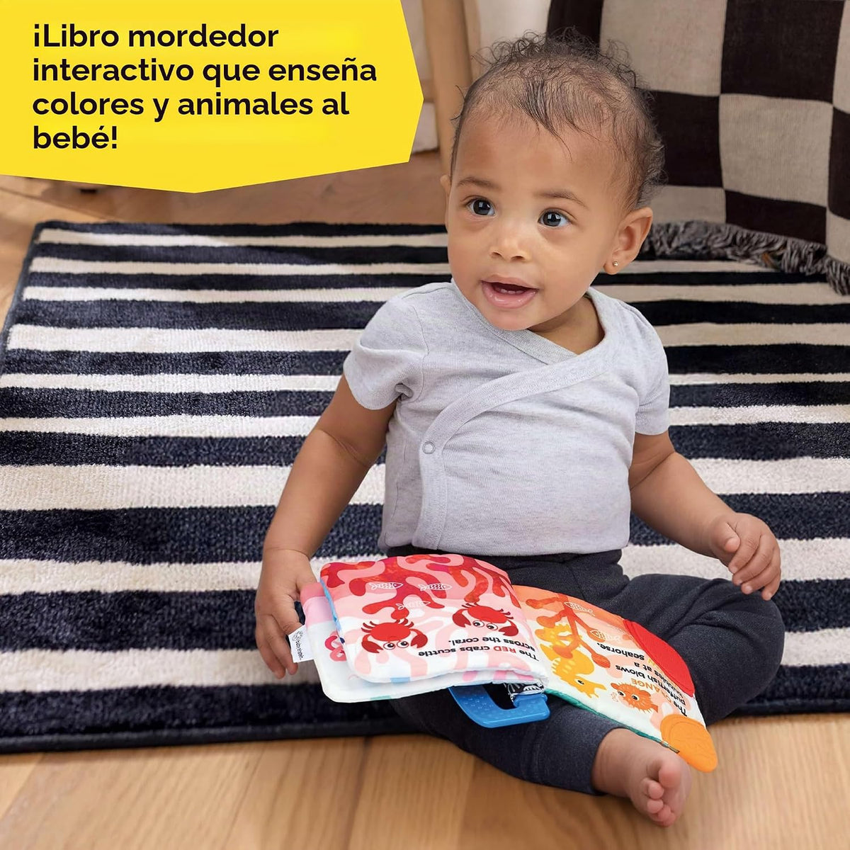 Baby Einstein Ocean Explorers - Libro de mordedores, Shades of the...