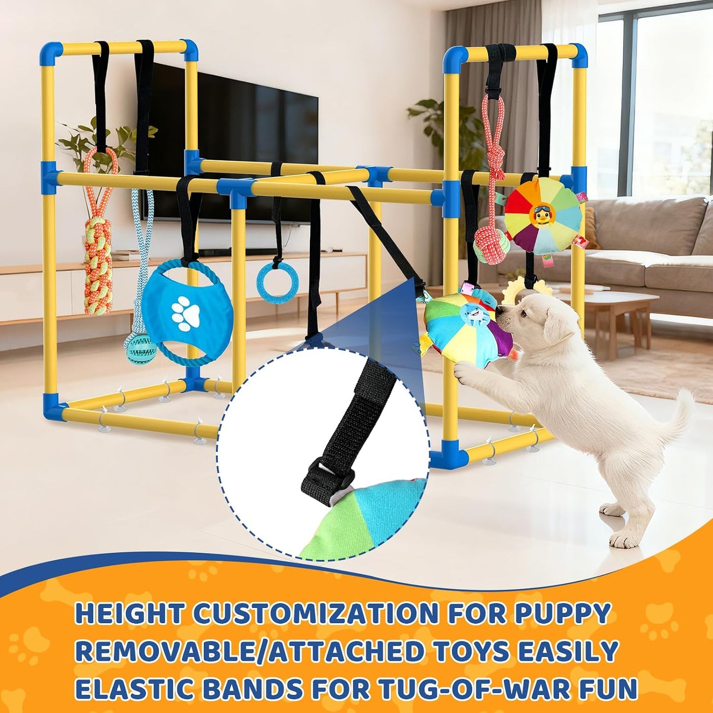 Gimnasio grande para cachorros y 10 juguetes colgantes para jugar e...