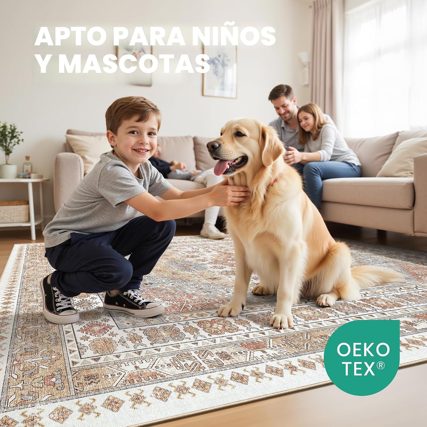 zesthome Alfombras de 8 x 10 pulgadas para sala de estar, alfombras...