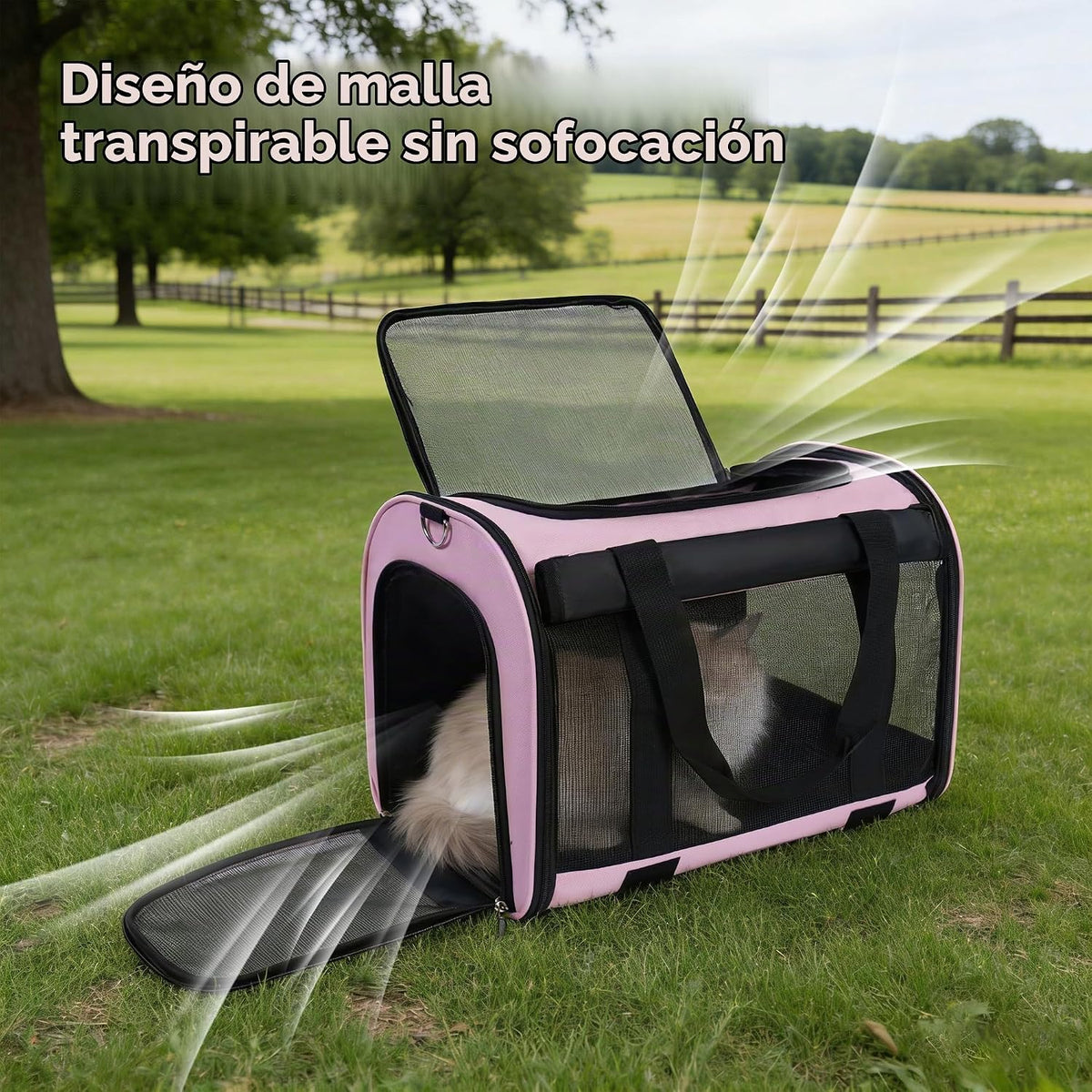 TWDEPART Mochila transportadora para gatos, multifuncional, firme y...