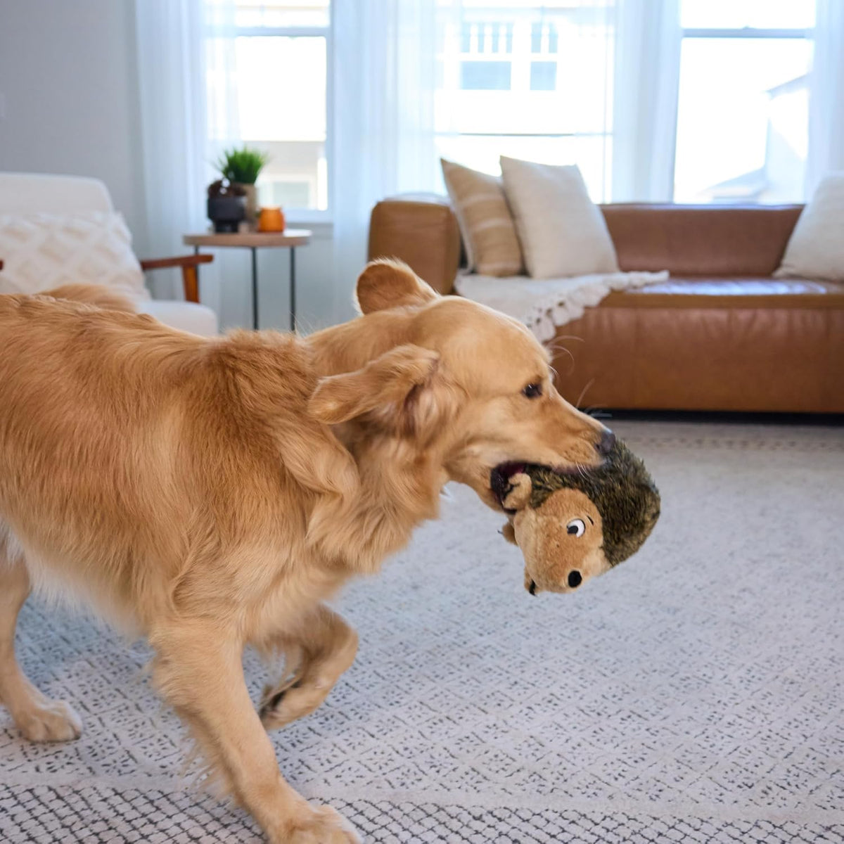 Outward Hound - Juguete de peluche Hedgehogz para perro, tamaño L |...