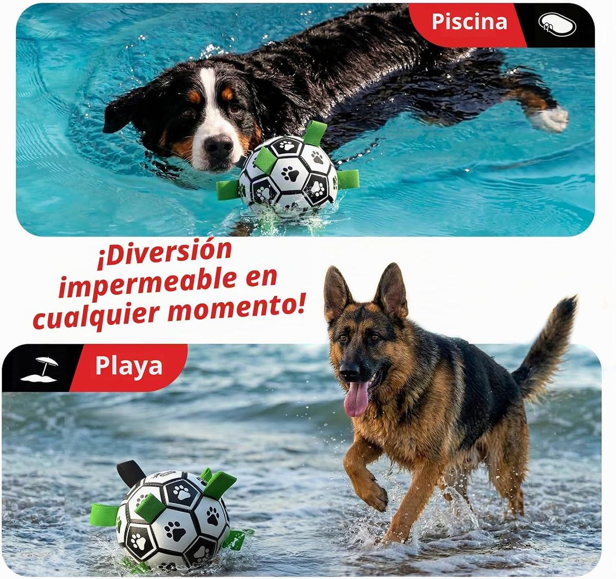 QDAN Balón de fútbol para perros Gaint de 10 pulgadas con correas,...