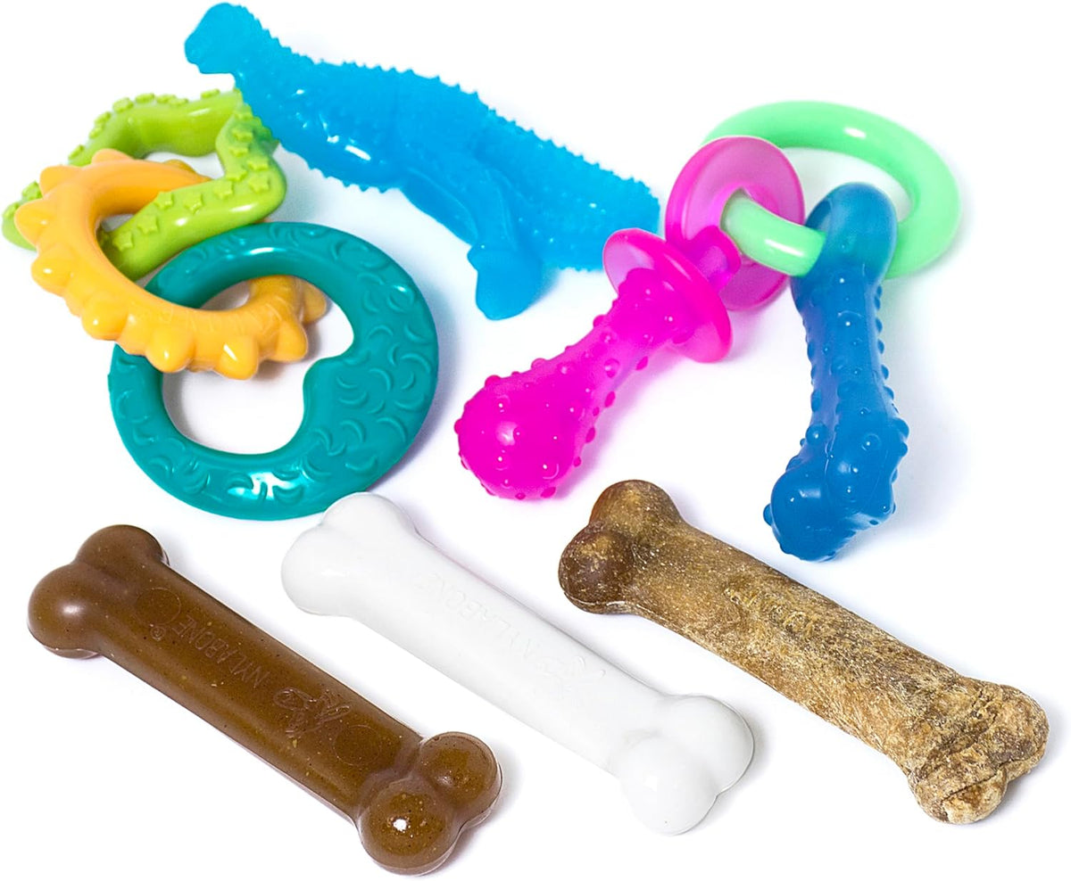 Nylabone Paquete de juguetes masticables y golosinas para cachorros...