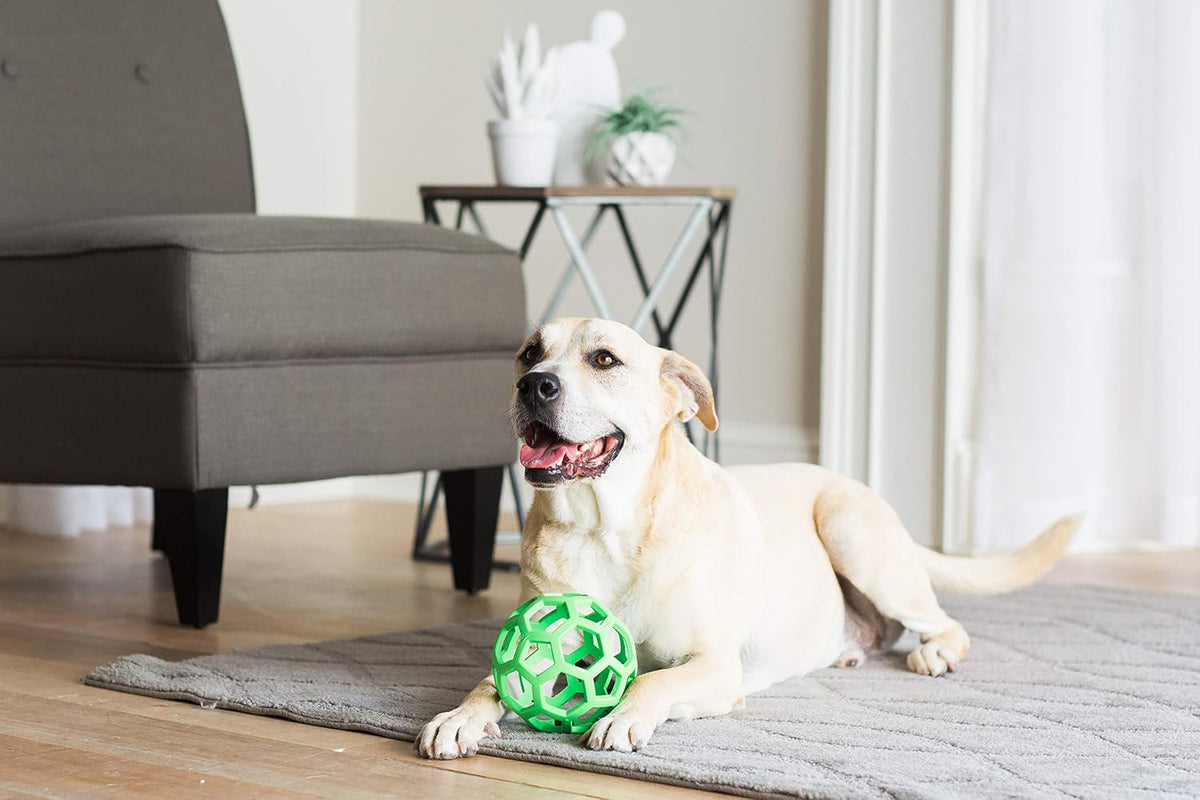 JW Pet Hol-ee Roller - Bola de rompecabezas de juguete para perros,...