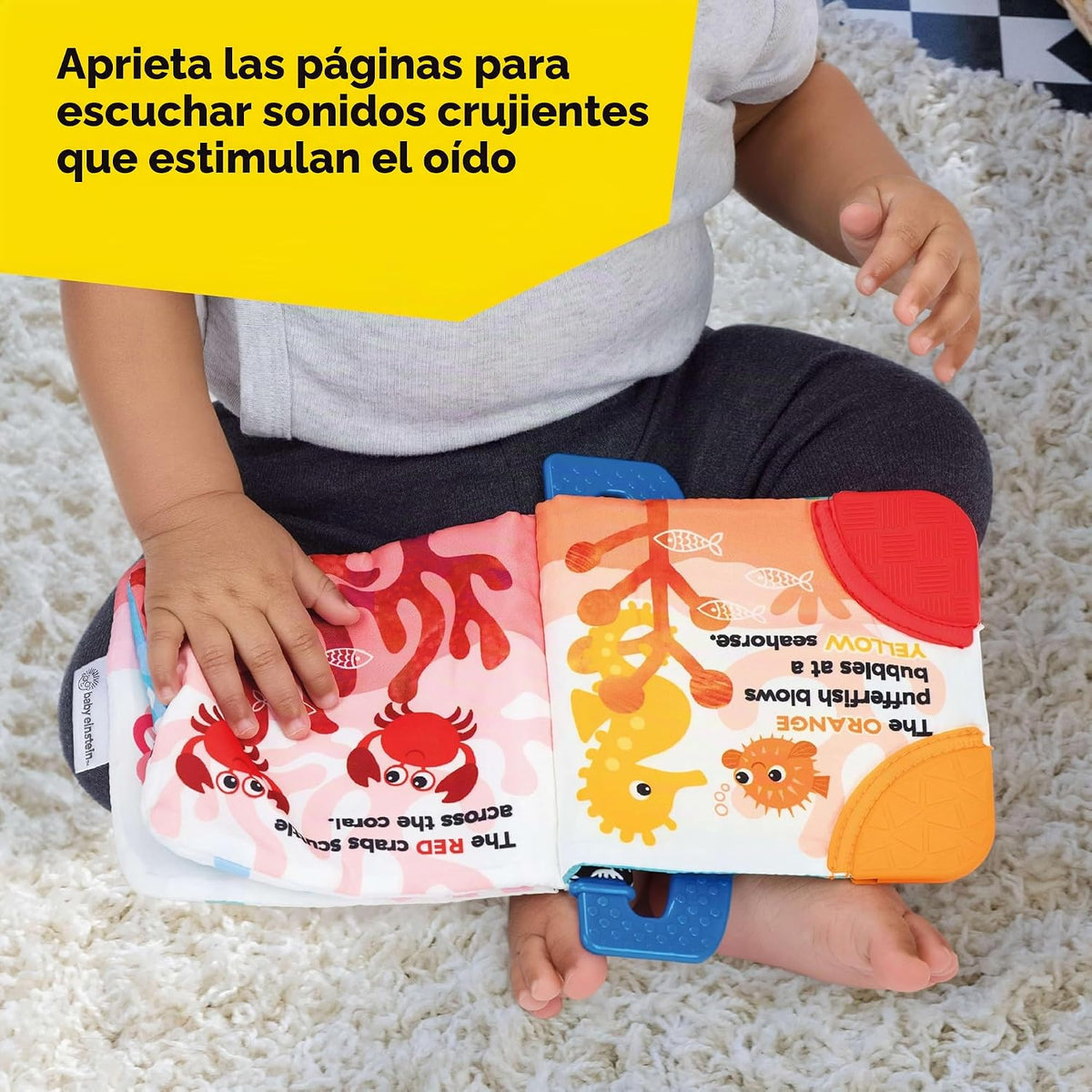 Baby Einstein Ocean Explorers - Libro de mordedores, Shades of the...
