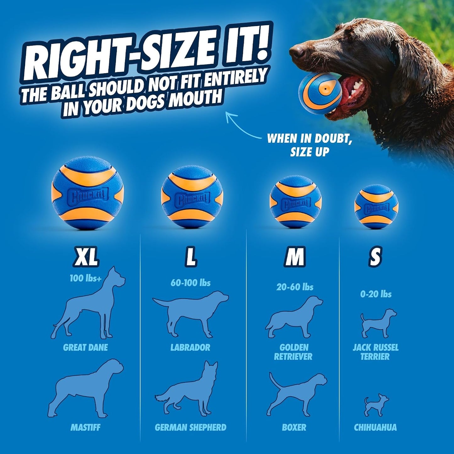 Chuckit! Pelota ultra chirriante para perros, juguete extra grande...