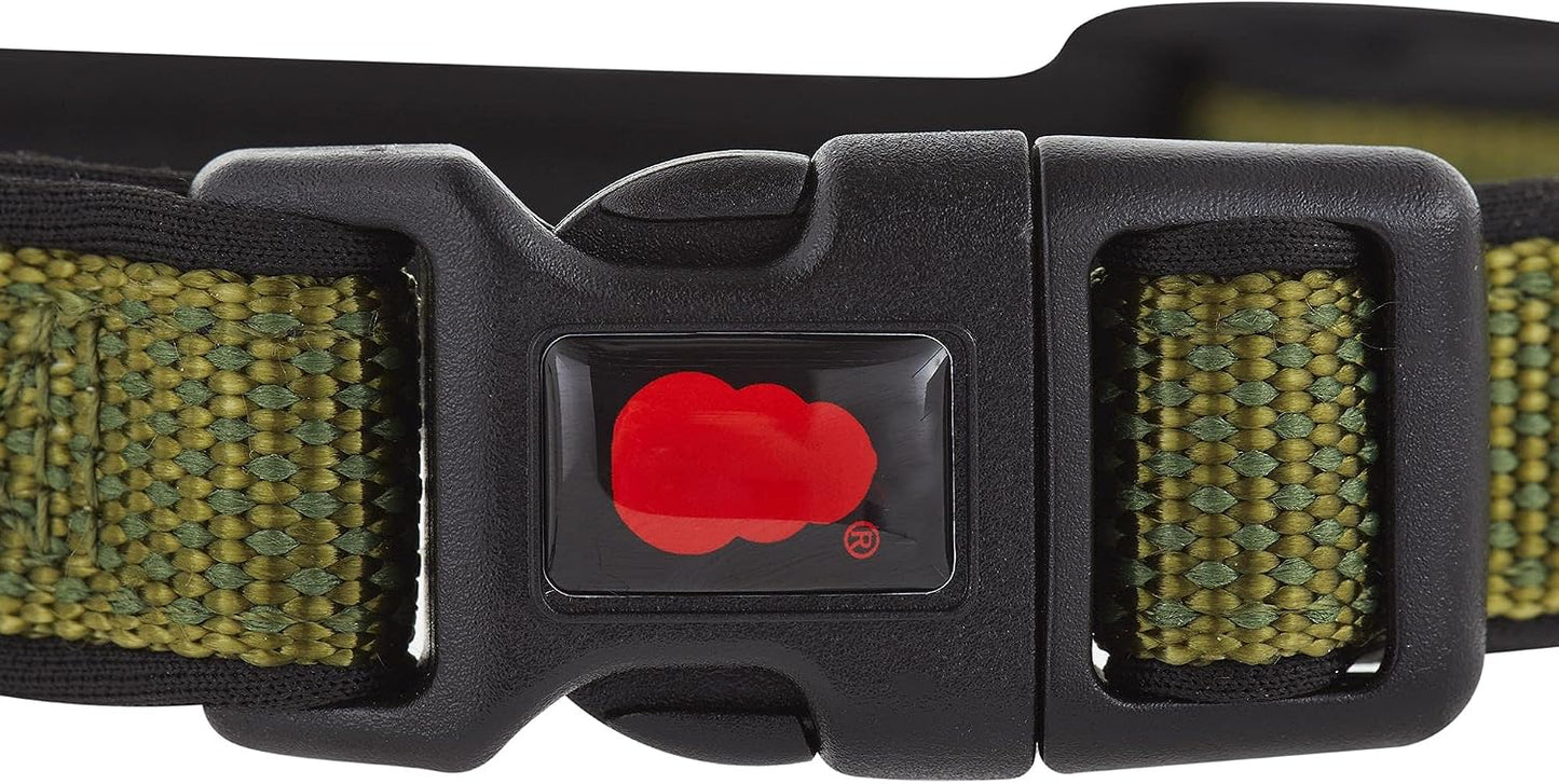 KONG Comfort - Collar de perro acolchado de alta calidad (M, verde)