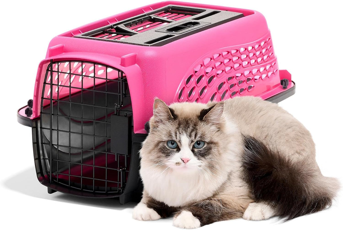 Petmate Jaulas para perros pequeños y transportadores para gatos, p...