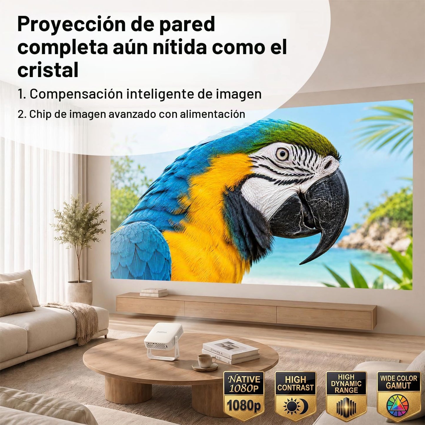 [Aplicación con Licencia Oficial y Enfoque Automático] Mini Proyect...