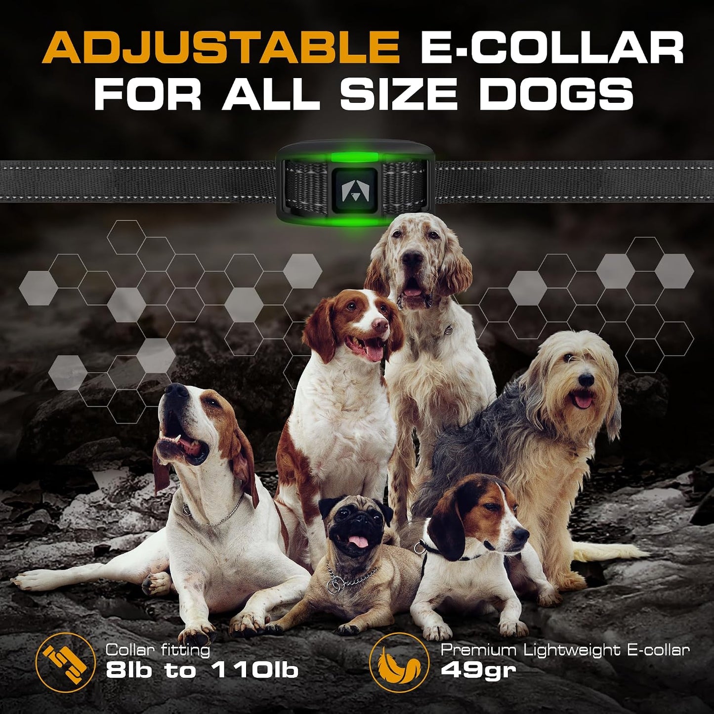 INVIROX Collar de entrenamiento para perros edición 2026, 123 nivel...