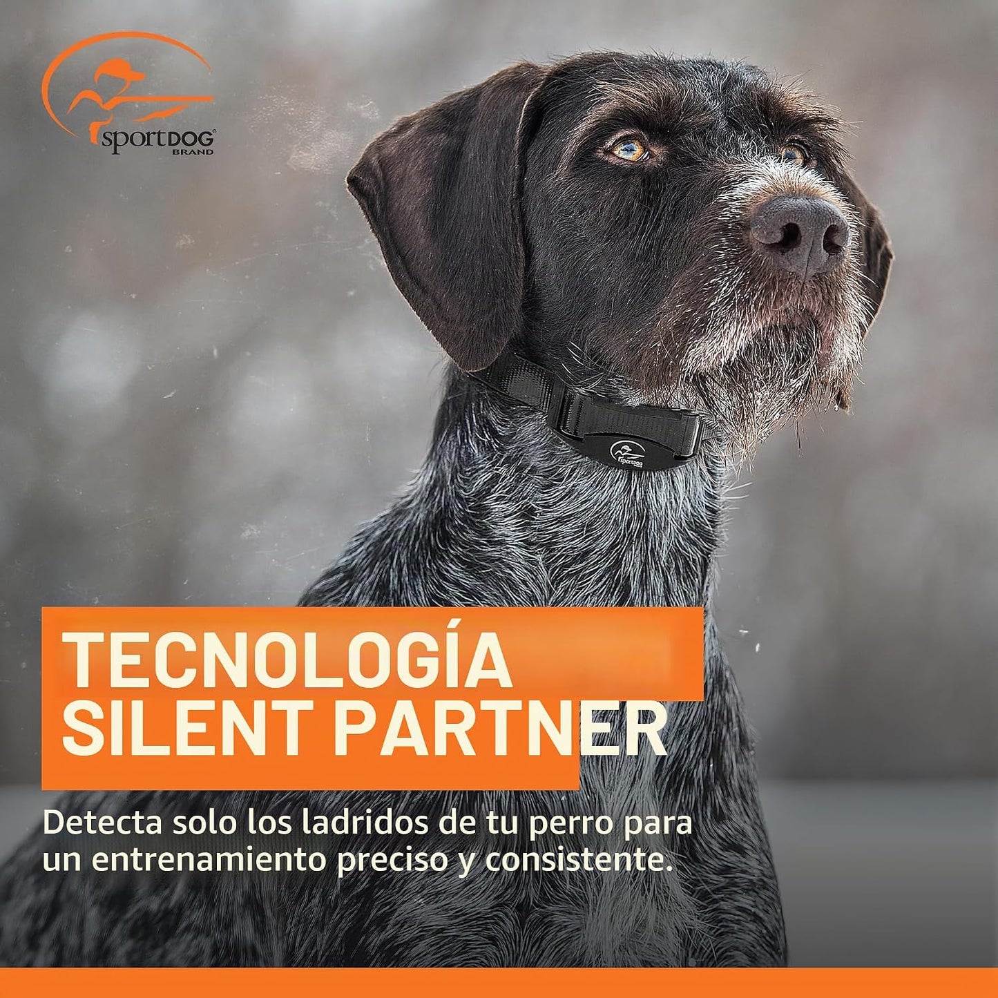 SportDOG NoBark SBC-R - Collar impermeable, ligero y programable de...