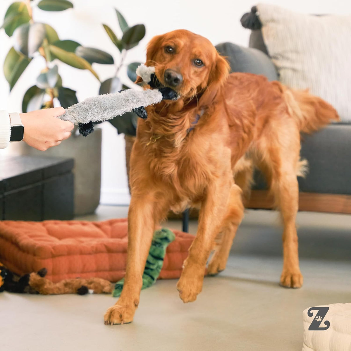 ZippyPaws Skinny Peltz - Paquete de juguetes para perros sin rellen...